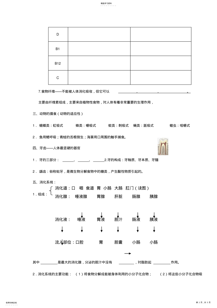 2022年浙教版九年级科学---第一章知识归纳总结 .pdf_第2页