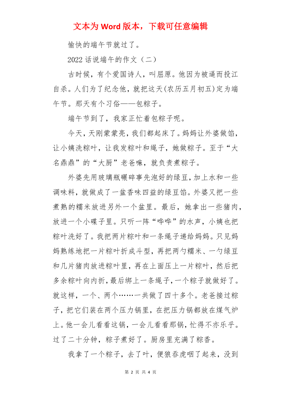 话说端午的作文.docx_第2页