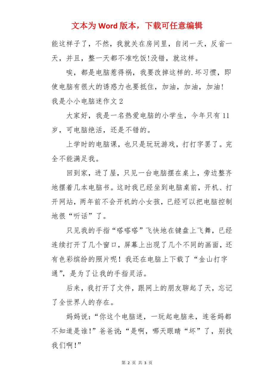 我是小小电脑迷作文.docx_第2页