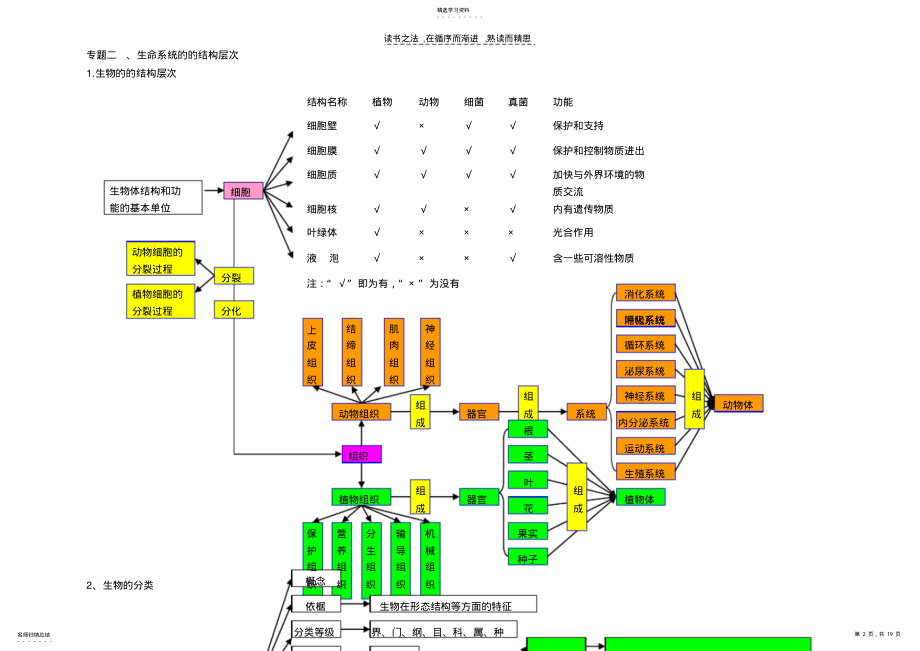 2022年中考生物复习思维导图 .pdf_第2页