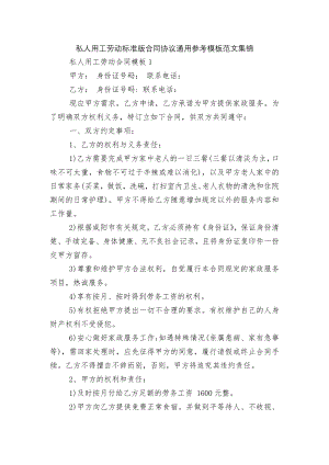 私人用工劳动标准版合同协议通用参考模板范文集锦.docx