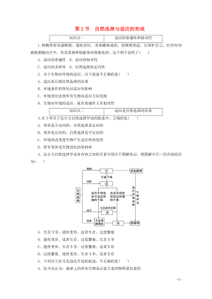 2021_2021学年新教材高中生物第六章生物的进化第2节自然选择与适应的形成课时作业含解析新人教版必修.doc