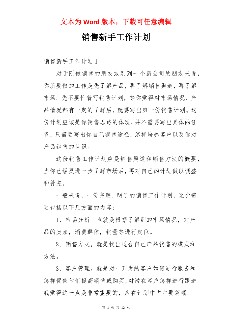 销售新手工作计划.docx_第1页