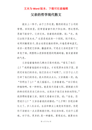 父亲的哲学现代散文.docx