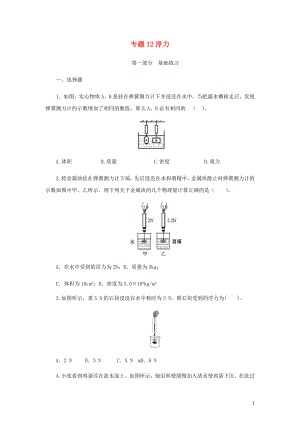 2021_2021学年九年级物理寒假辅导讲义与练习专题12浮力练习含解析.docx