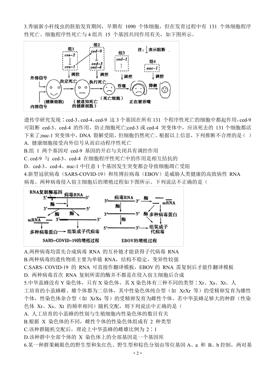 2021届山东省实验中学高三下学期生物一模试题.pdf_第2页