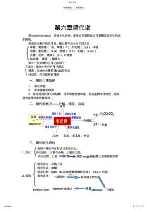 2022年生物化学糖代谢知识点总结 .pdf