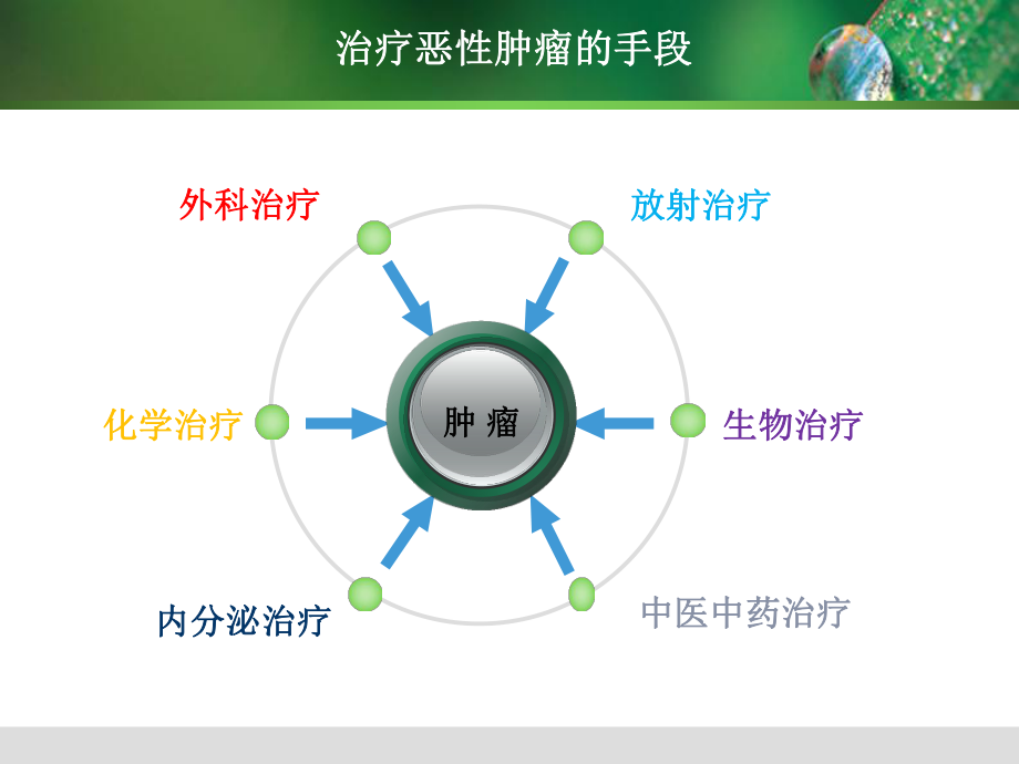 肿瘤的多学科综合治疗ppt课件.ppt_第2页