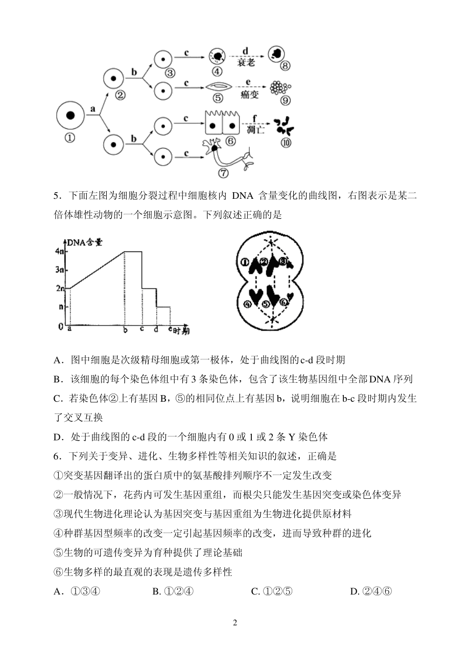 山东省实验中学第三次诊断考试理综试题含答案.pdf_第2页