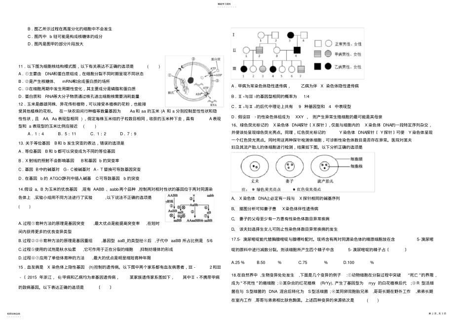 2022年生物必修二综合测试题及答案 .pdf_第2页