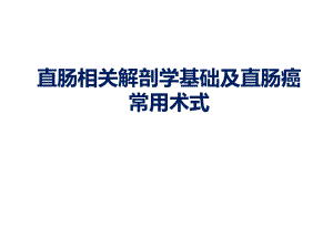 直肠相关解剖学基础及直肠癌常用术式ppt课件.ppt