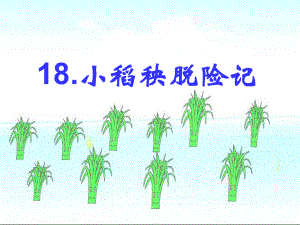 18、小稻秧脱险记二课时.ppt