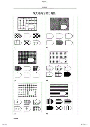 2022年瑞文智力测验及问题详解 .pdf