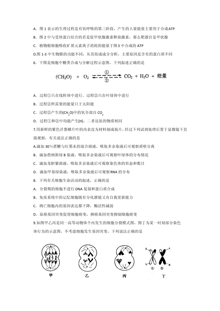 山东省实验中学2015届高三第一次(9月)诊断性考试生物试题.pdf_第2页