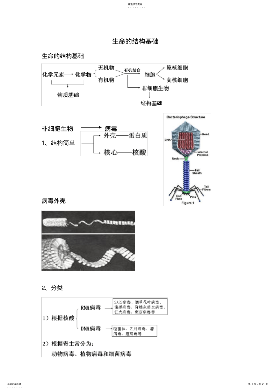 2022年生命的结构基础知识点归纳 .pdf_第1页