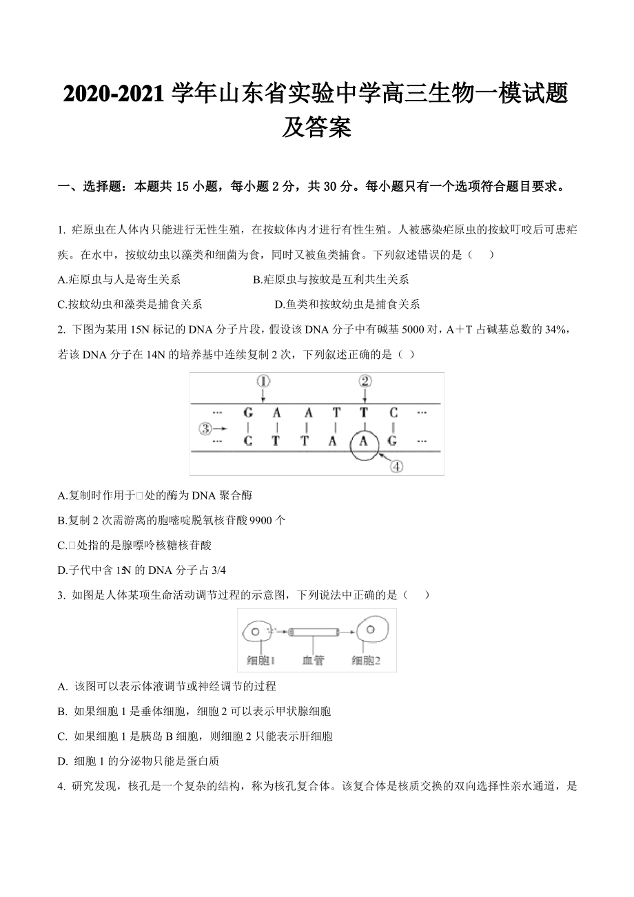 2020-2021学年山东省实验中学高三生物一模试题及答案.pdf_第1页