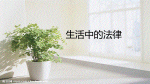 生活中的法律ppt课件.pptx