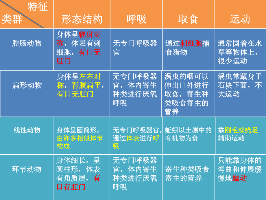 生物八年级上册第一章动物的主要类群复习ppt课件.pptx_第2页