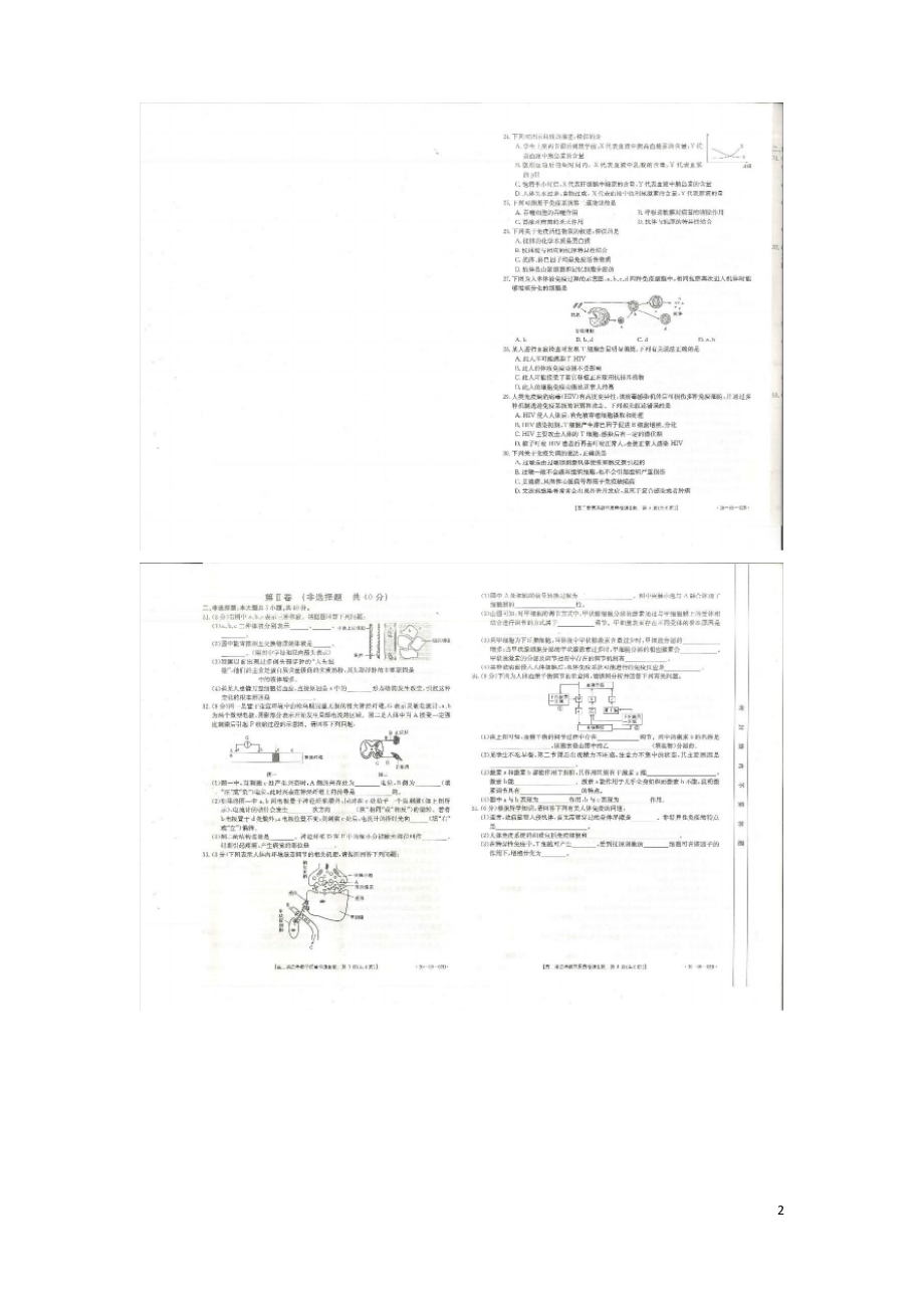 山东省济宁市实验中学2019-2020学年高二生物教学质量检测试题.pdf_第2页