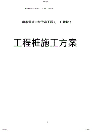 2022年灌注桩后注浆施工专业技术方案 .pdf