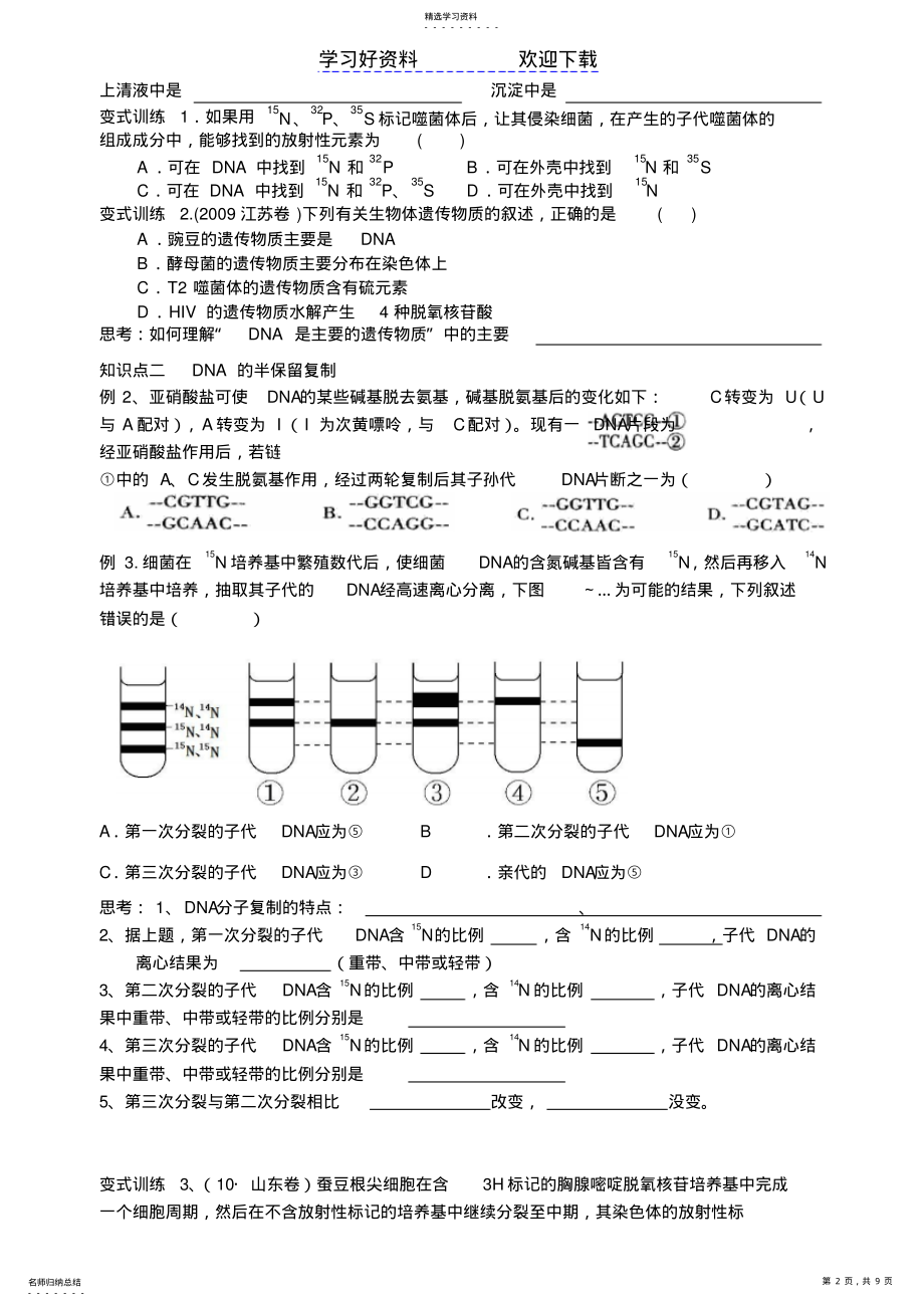 2022年二轮复习专题五遗传的物质基础 .pdf_第2页