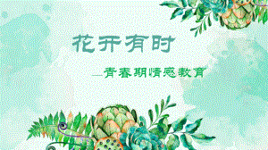 青春期情感教育ppt课件.pptx