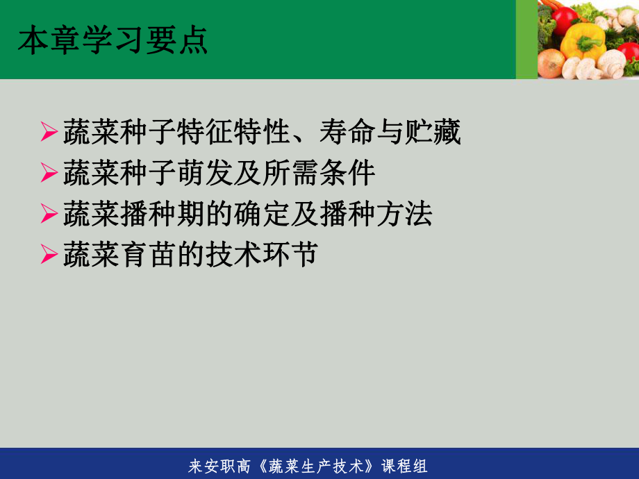 项目二蔬菜播种育苗技术-任务一蔬菜种子ppt课件.ppt_第2页