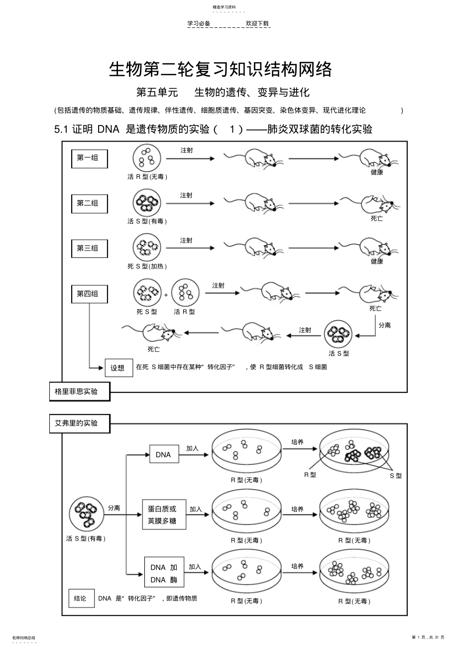 2022年生物的遗传变异与进化知识点总结 .pdf_第1页