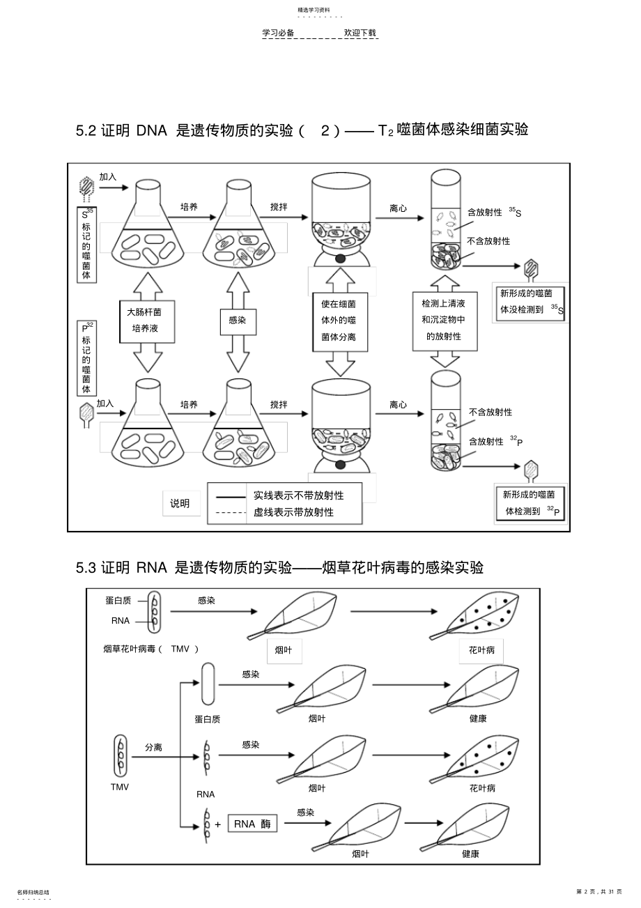 2022年生物的遗传变异与进化知识点总结 .pdf_第2页