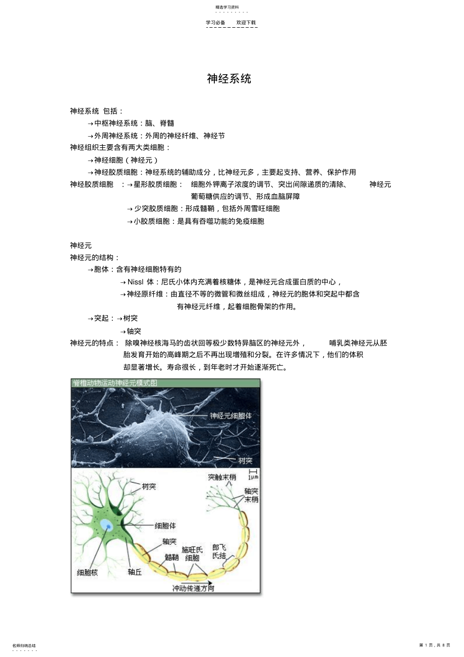 2022年人体神经系统基础知识点及图解 .pdf_第1页