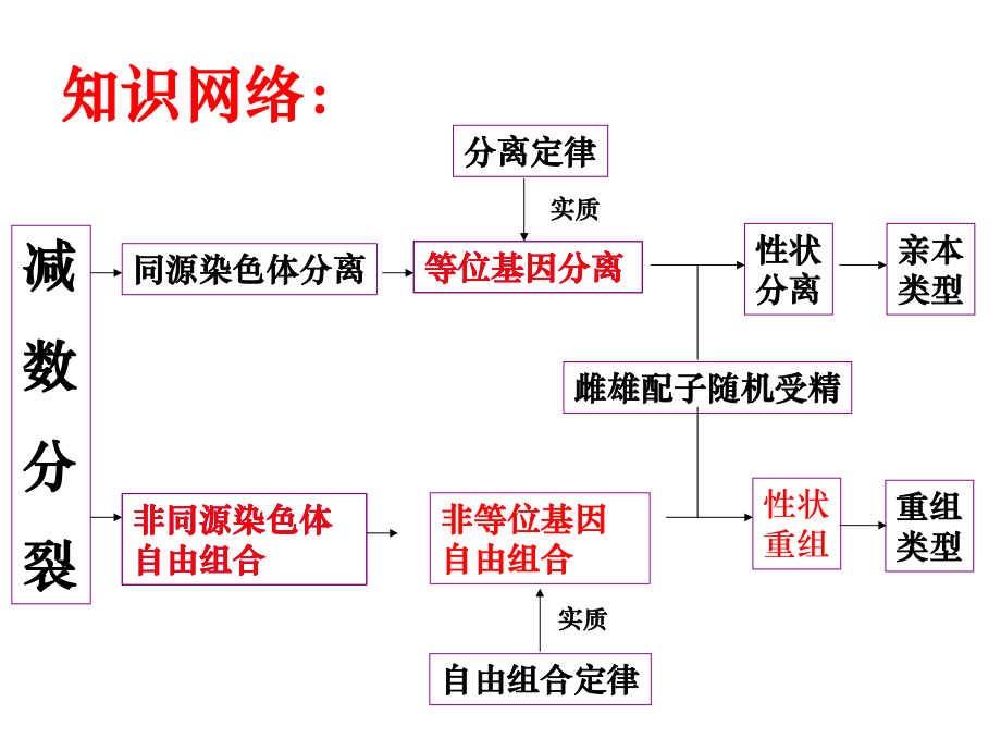 遗传定律专题复习ppt课件.ppt_第1页