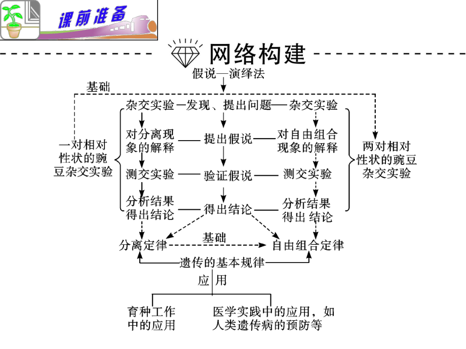 遗传定律专题复习ppt课件.ppt_第2页