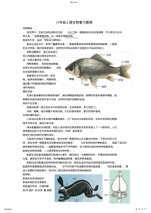 2022年人教版八年级上册生物复习提纲 2.pdf