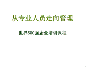 从专业人员走向管理（世界500强企业培训课程ppt课件.ppt