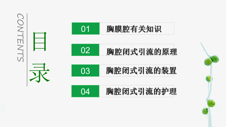 胸腔闭式引流及护理（讲课）优质ppt课件.ppt_第2页