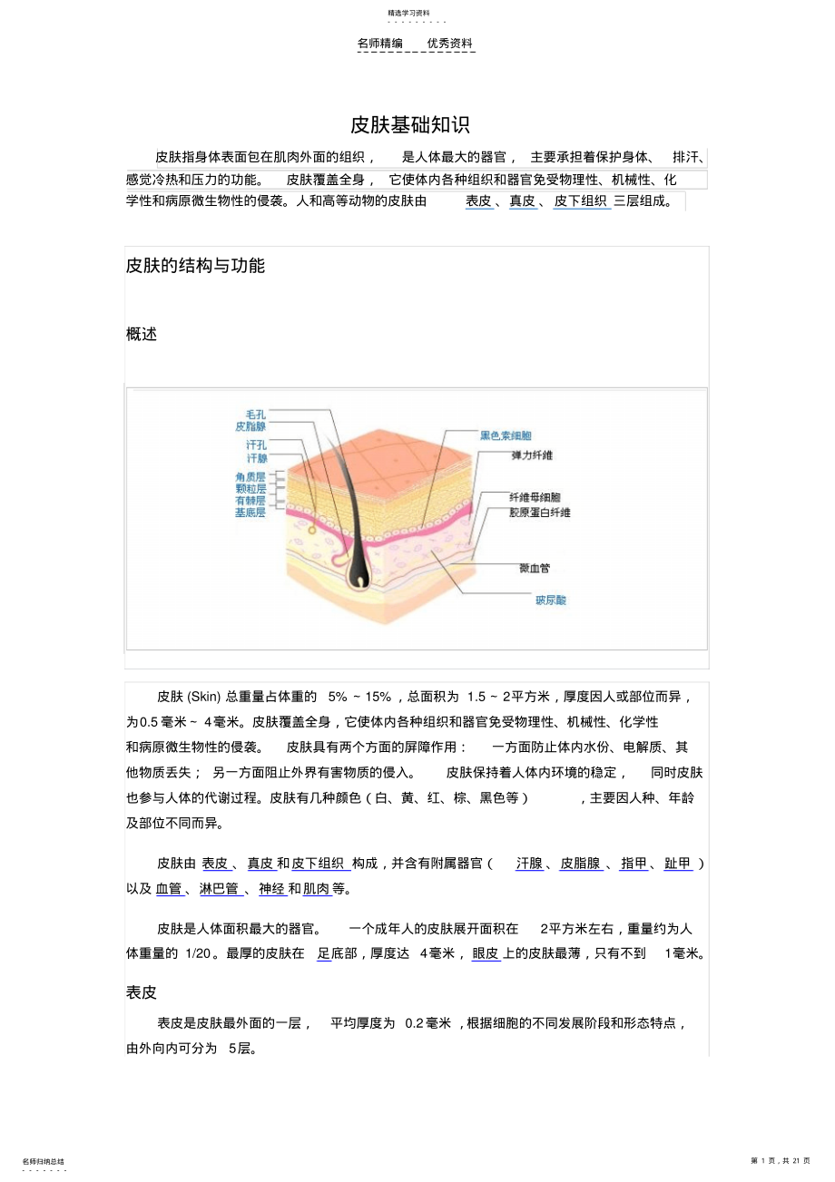 2022年皮肤基础知识 .pdf_第1页