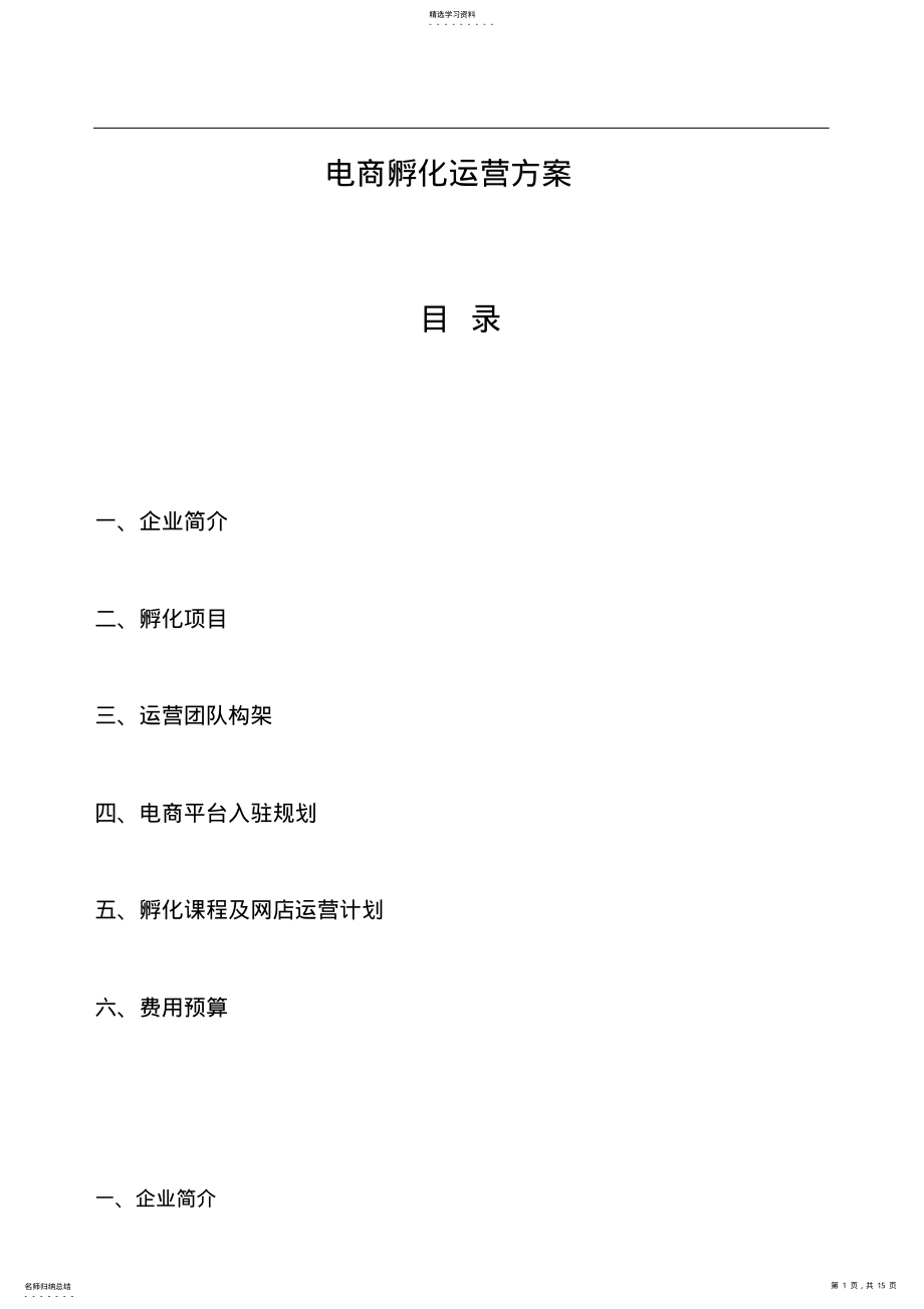 2022年电商孵化全年运营- .pdf_第1页