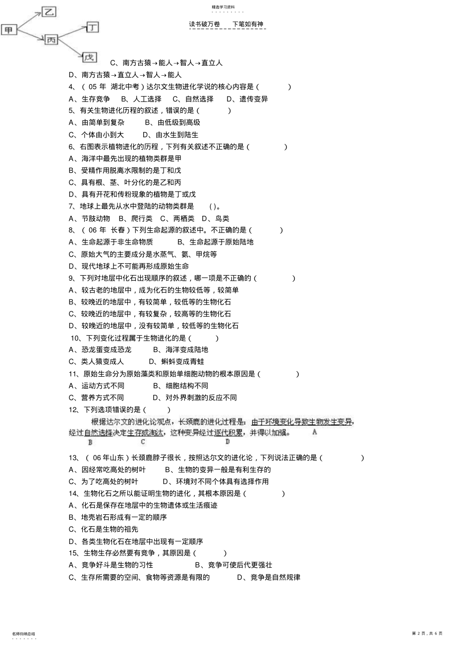 2022年人教版初中生物会考专题复习二 .pdf_第2页