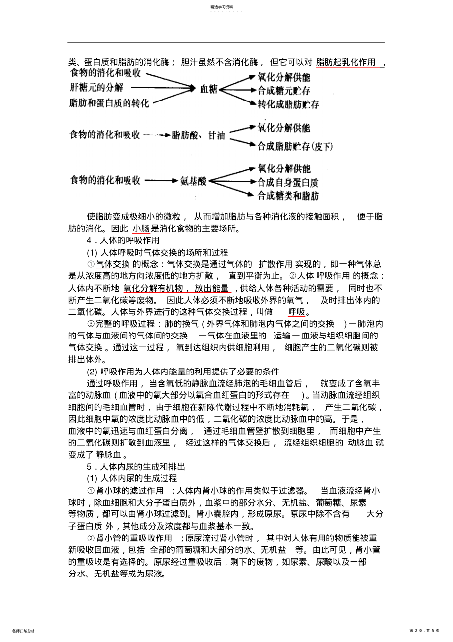 2022年人体的新陈代谢知识点 .pdf_第2页