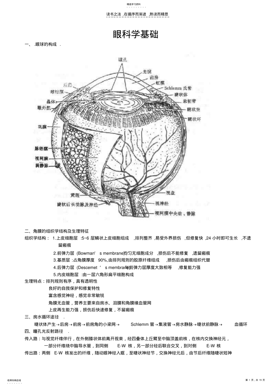 2022年眼科学重点总结人卫第八版 .pdf_第1页