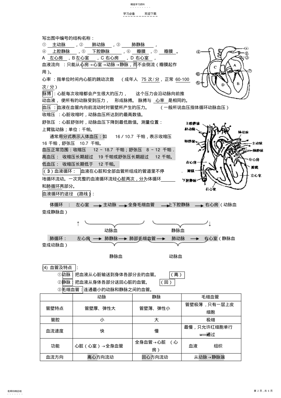 2022年人体内物质的运输知识点练习题复习 .pdf_第2页