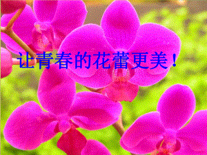 《女生青春期教育》专题课件-ppt课件.ppt