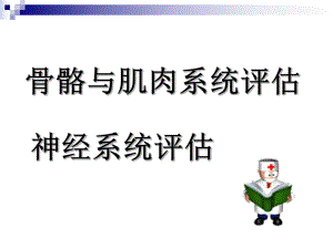 脊柱四肢神经系统ppt课件.ppt