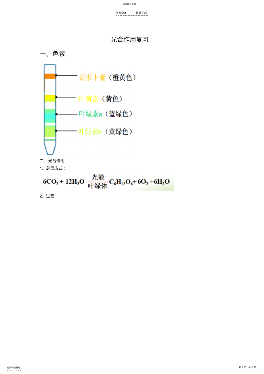 2022年光合作用知识点 .pdf_第1页