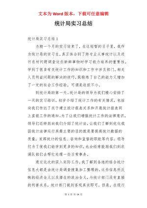 统计局实习总结.docx