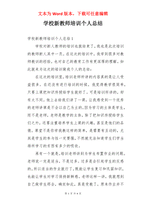 学校新教师培训个人总结.docx