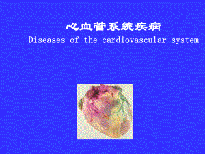 病理学心血管系统ppt课件.ppt