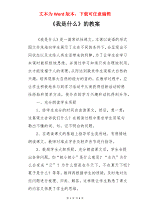 《我是什么》的教案.docx