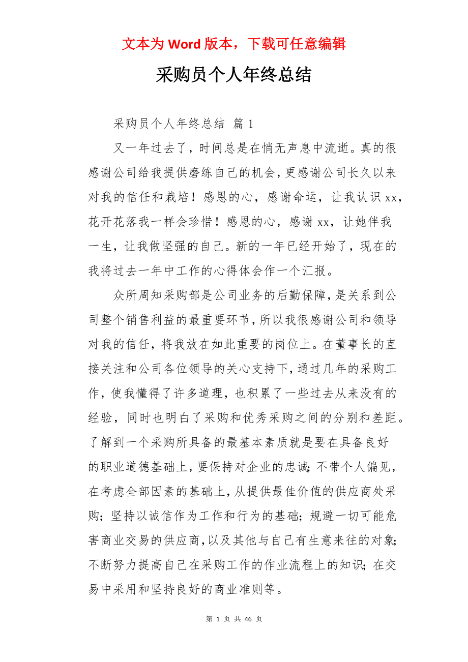 采购员个人年终总结.docx_第1页