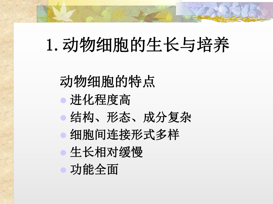 动物细胞培养技术ppt课件.ppt_第1页